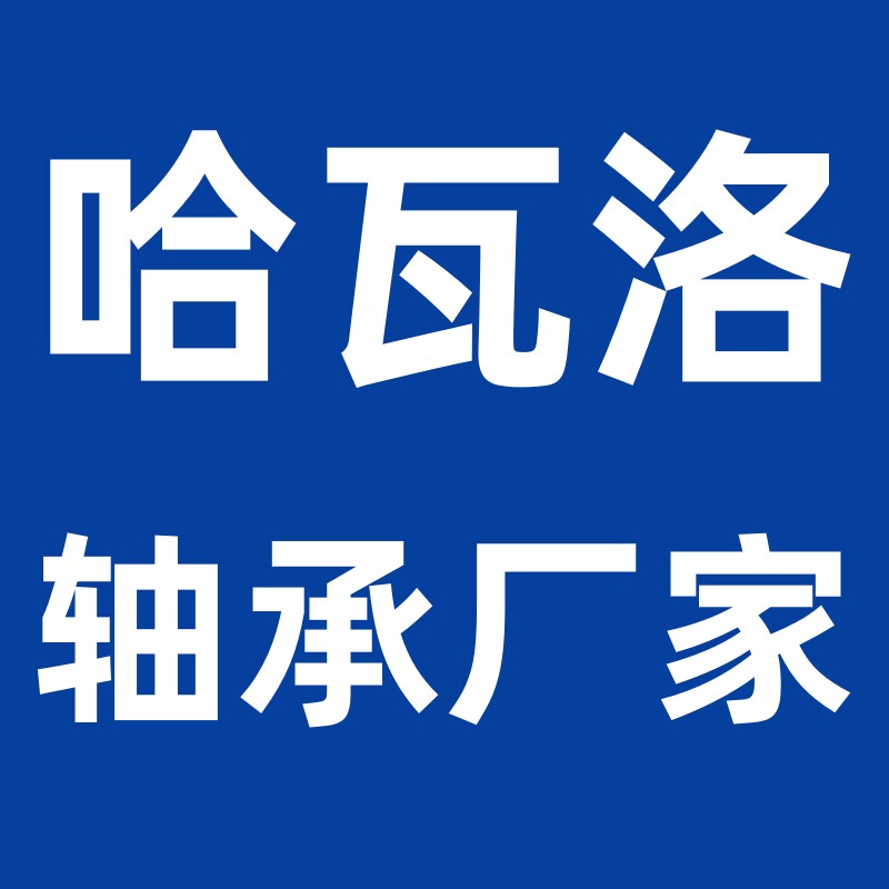 哈瓦洛轴承SKF NSK进口轴承