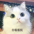 龙烟阁 店铺LOGO