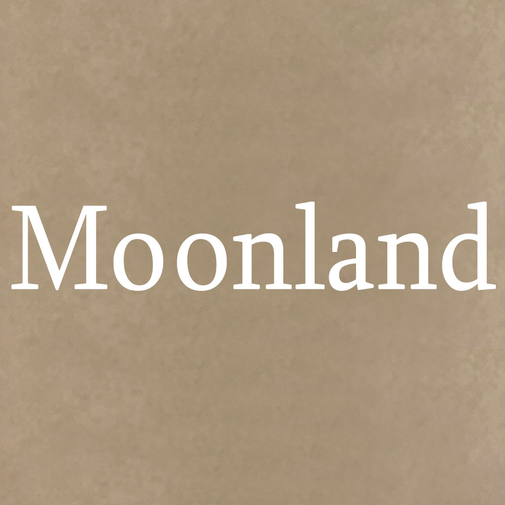 Moonland饰品 店铺LOGO