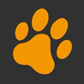猫爪设计素材