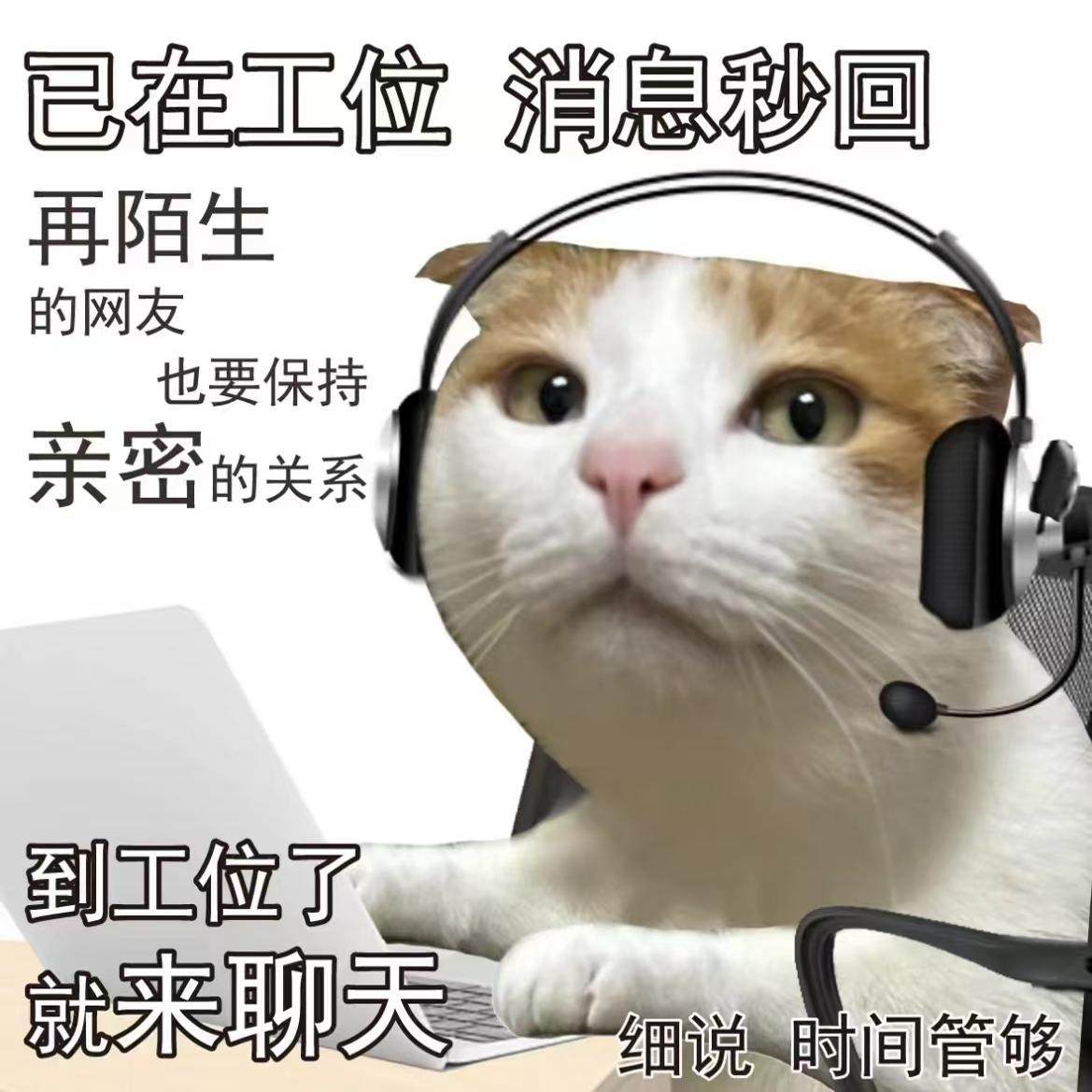 上海BO数码影音店 店铺LOGO