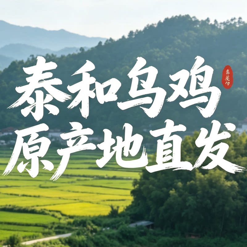 泰和乌鸡原产地直供