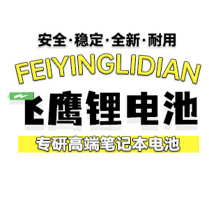 飞鹰锂电池