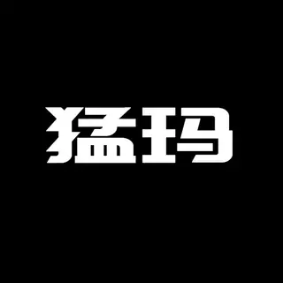 猛犸麦克风品牌店