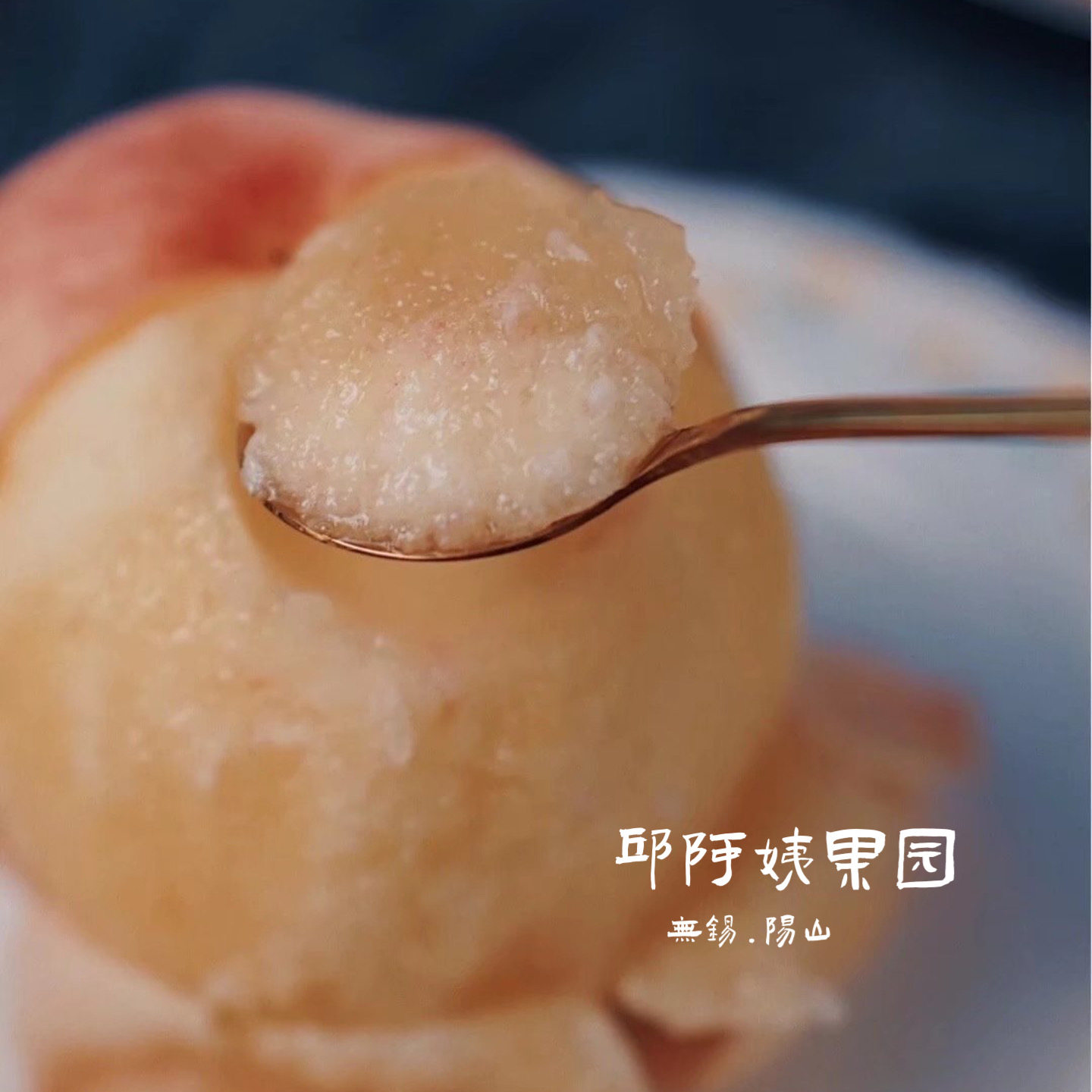 无锡阳山邱阿姨果园 店铺LOGO