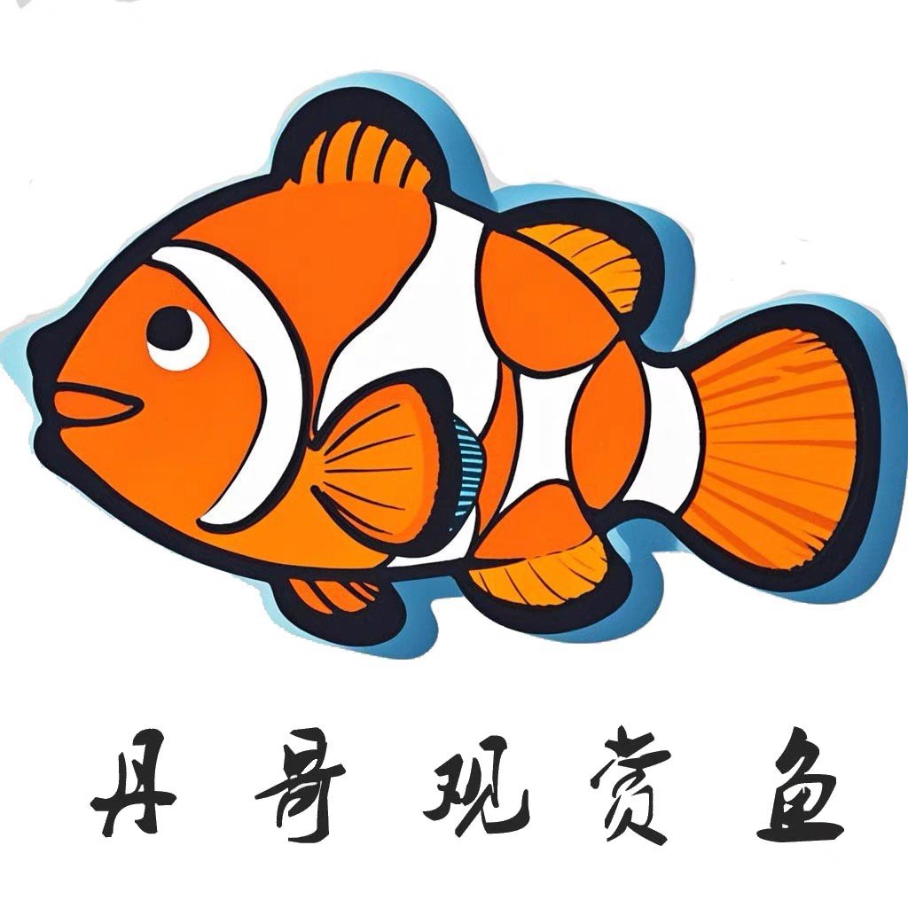 丹哥观赏鱼