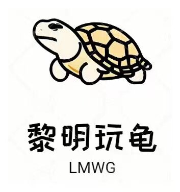 黎明玩龟嘉创龟品企业店