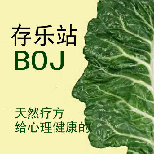 存乐站BOJ