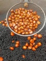 无锡彩虹街炒货机械厂