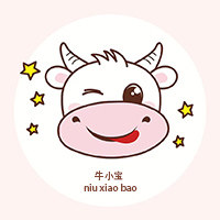牛小宝童装铺