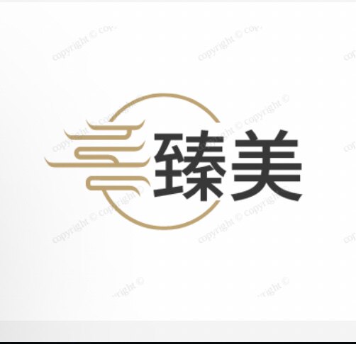 臻美饰品企业店