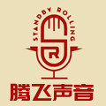 腾飞声音 店铺LOGO