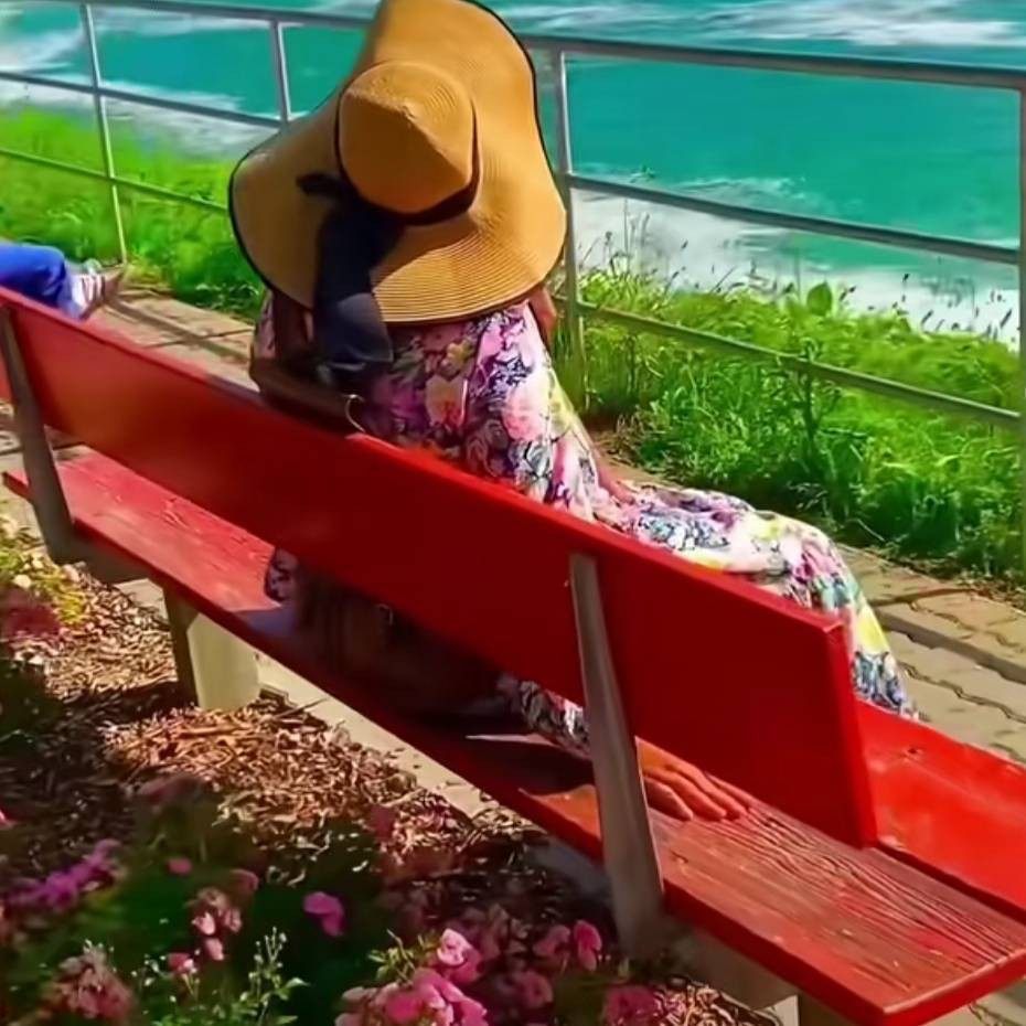 柠檬青青