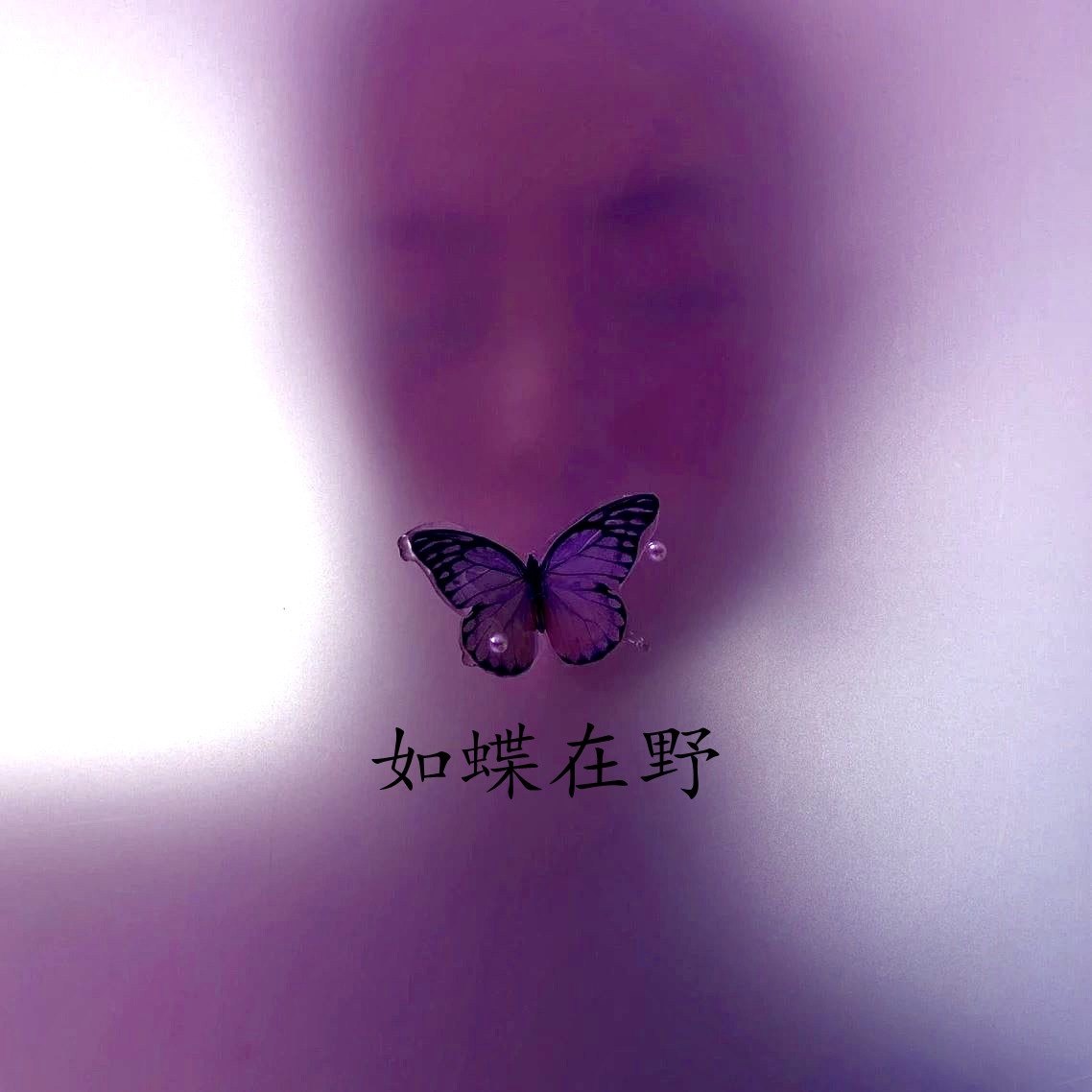 如蝶在野