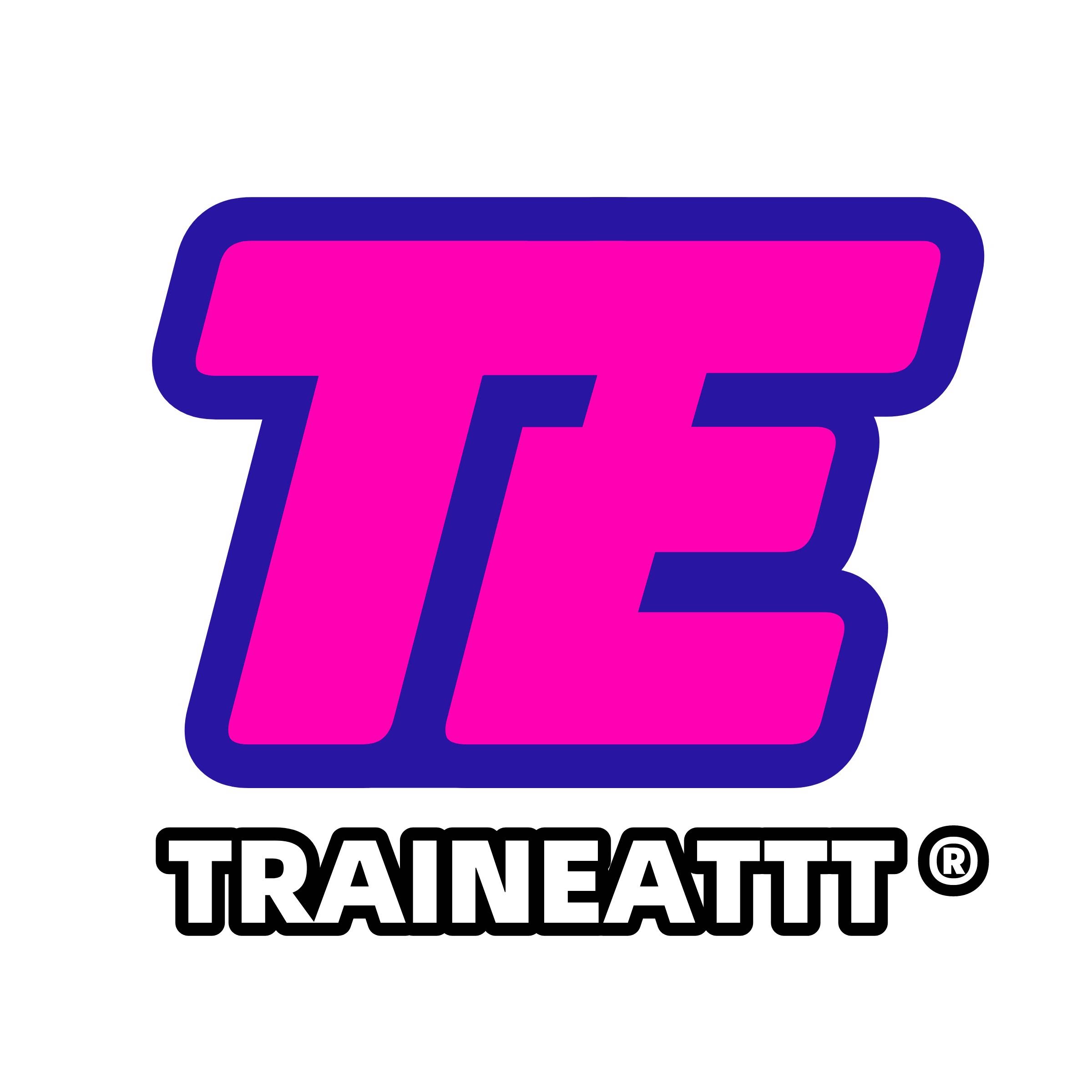 TE欧美原装进口训练营企业店