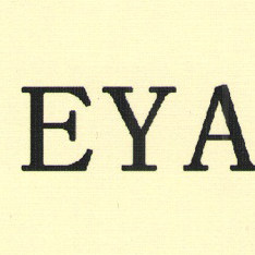 EYA益之源电源适配器工厂官方企业店 店铺LOGO