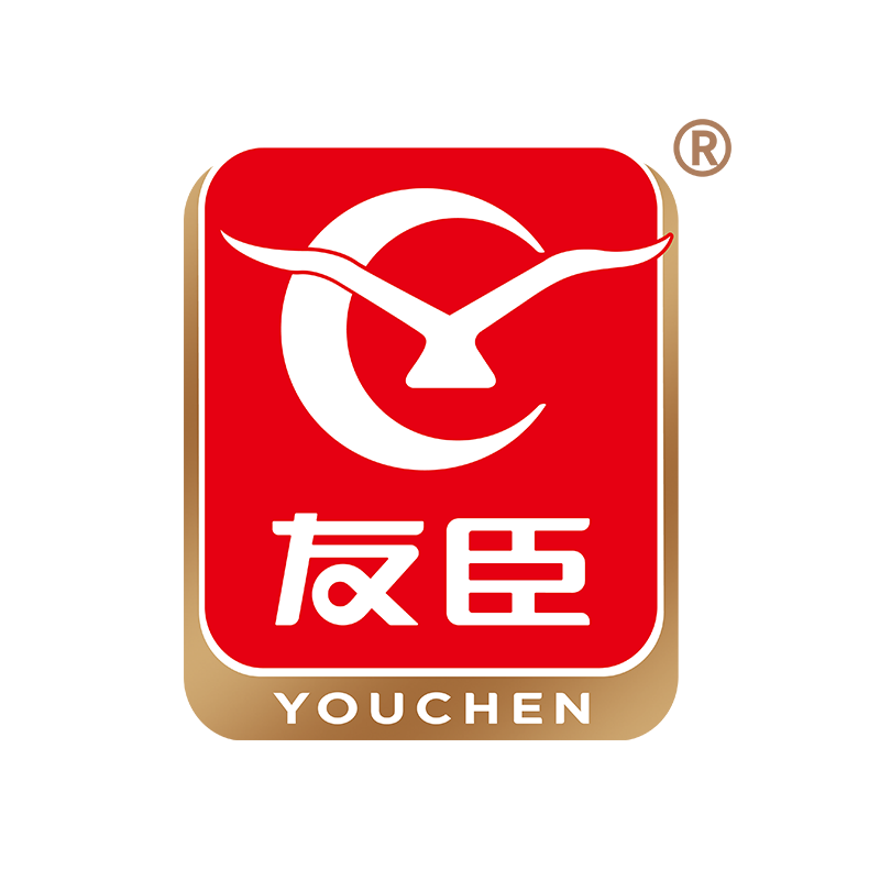 友臣旗舰店