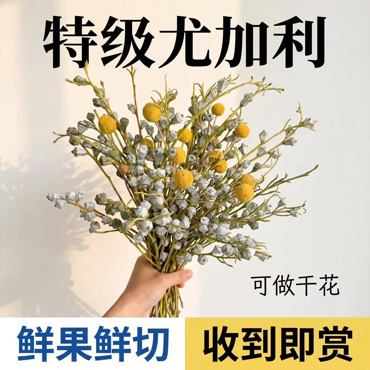 云南瑞垠花卉鲜切花基地 店铺LOGO