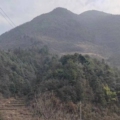 大山土特产农产品