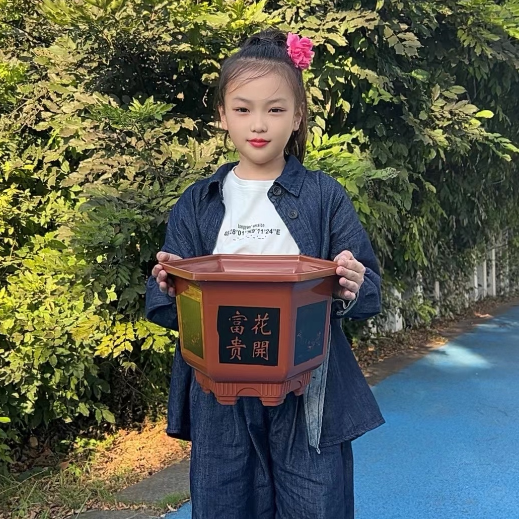 开运花盆园艺