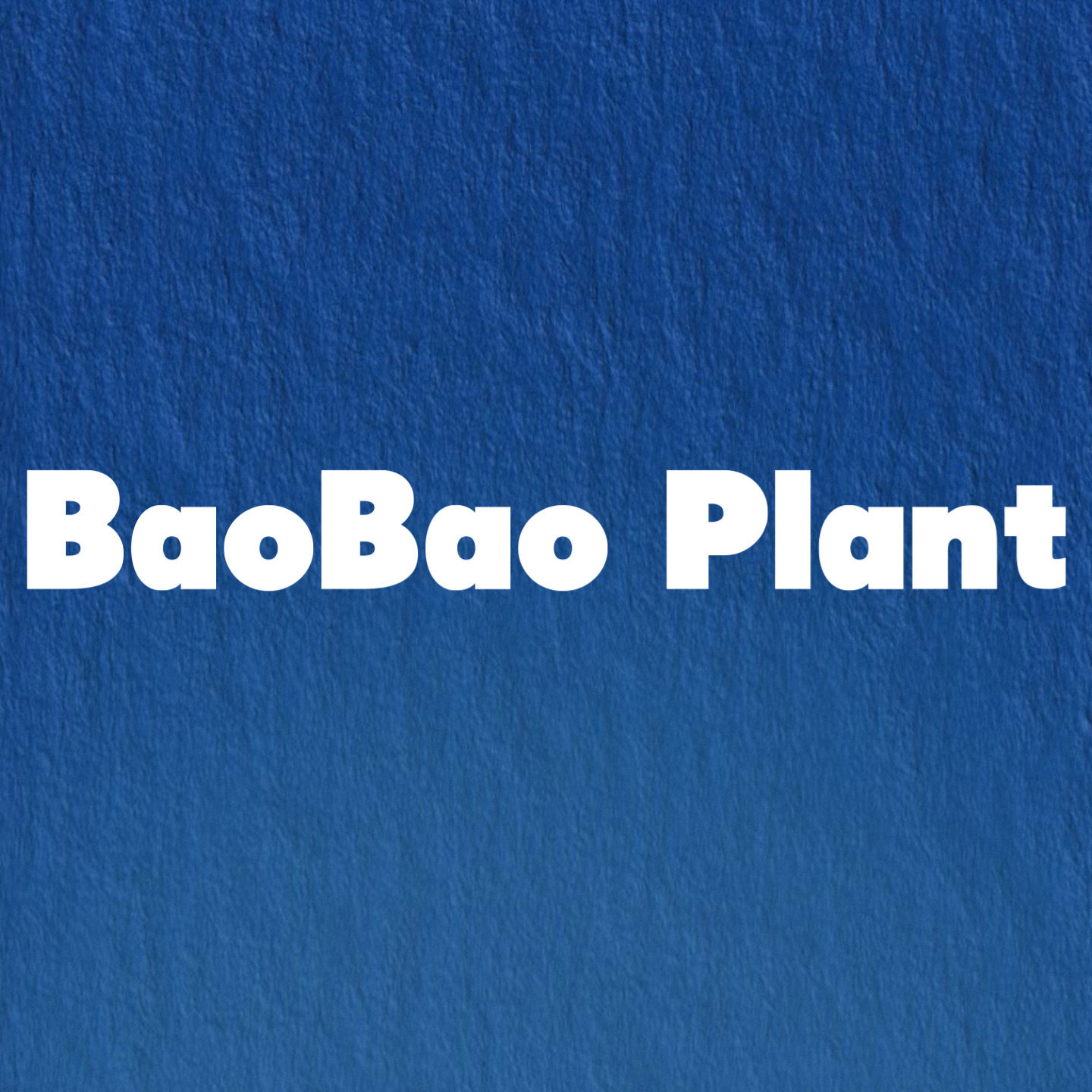 BaoBao Plant抱抱星球