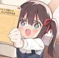少女家的杂与物