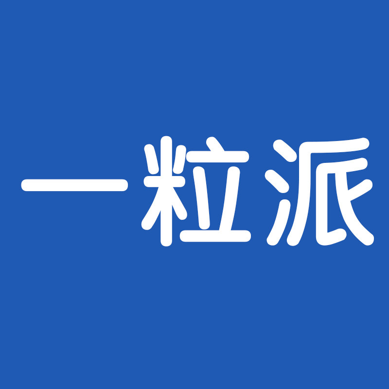 一粒派车品专营店
