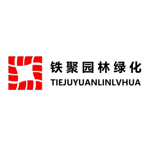 铁聚园林绿化