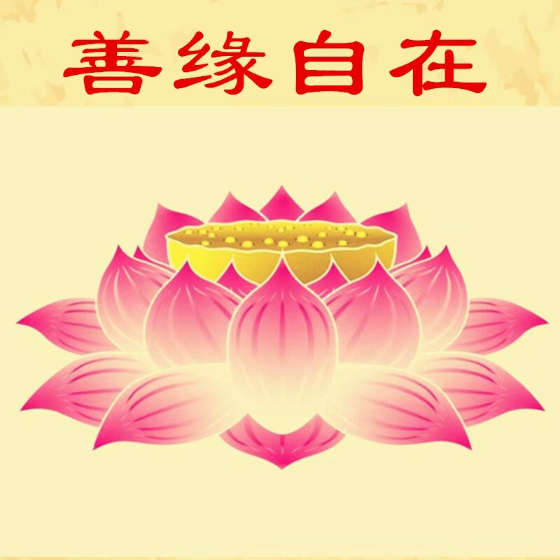 善缘自在