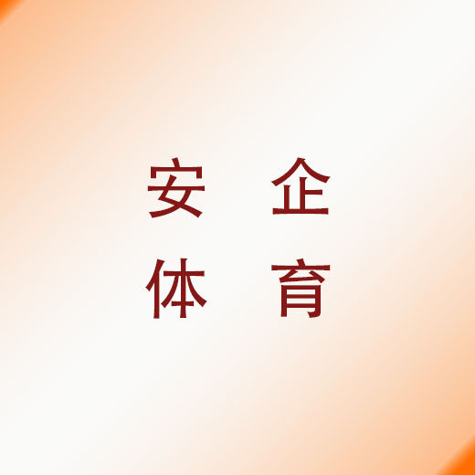 安企体育 店铺LOGO