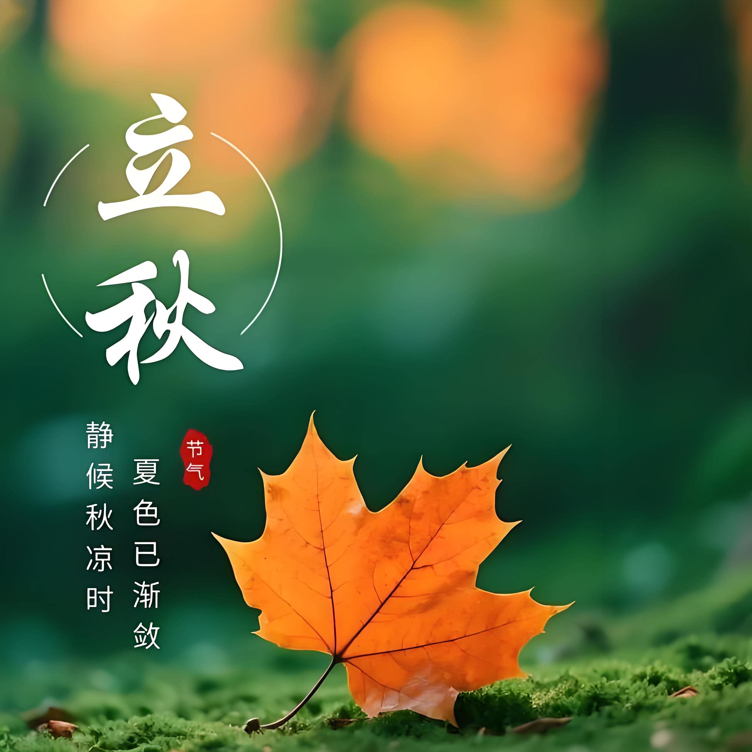 立秋园艺