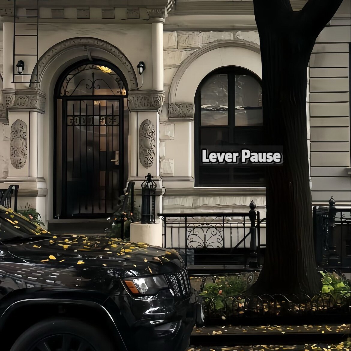 Lever Pause 店铺LOGO