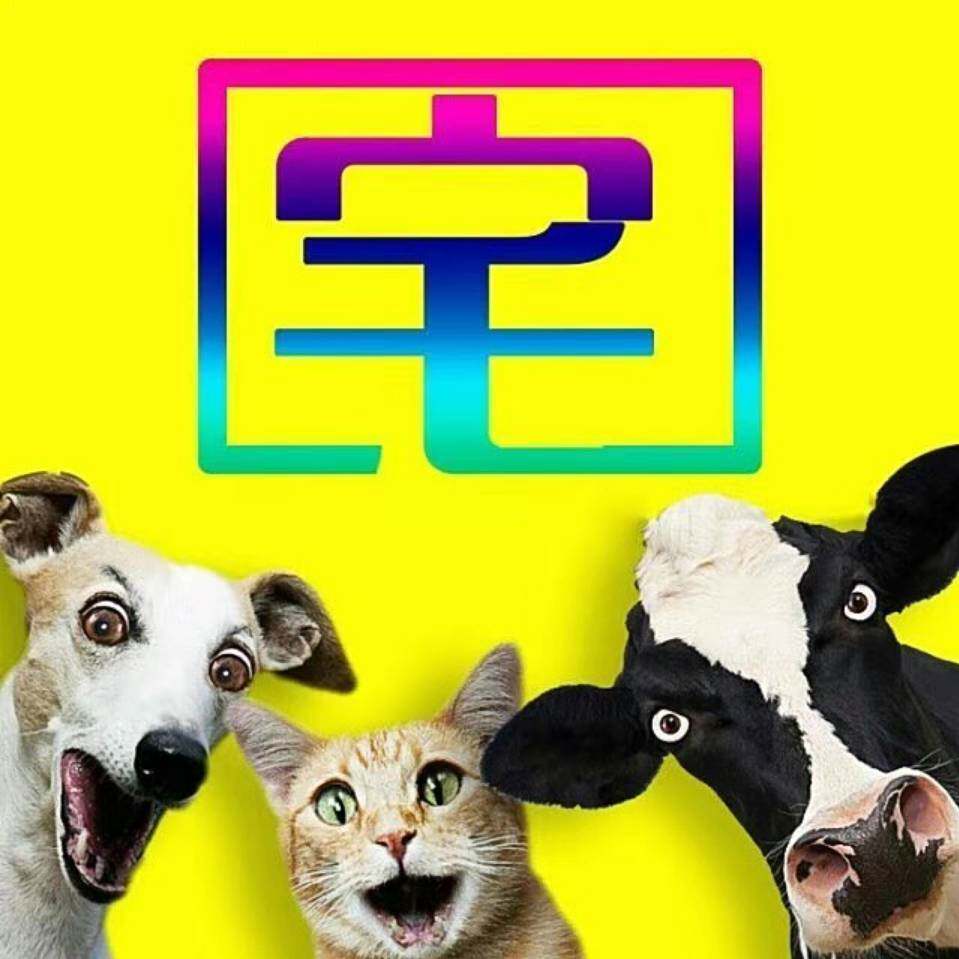 宅公社网络工作室