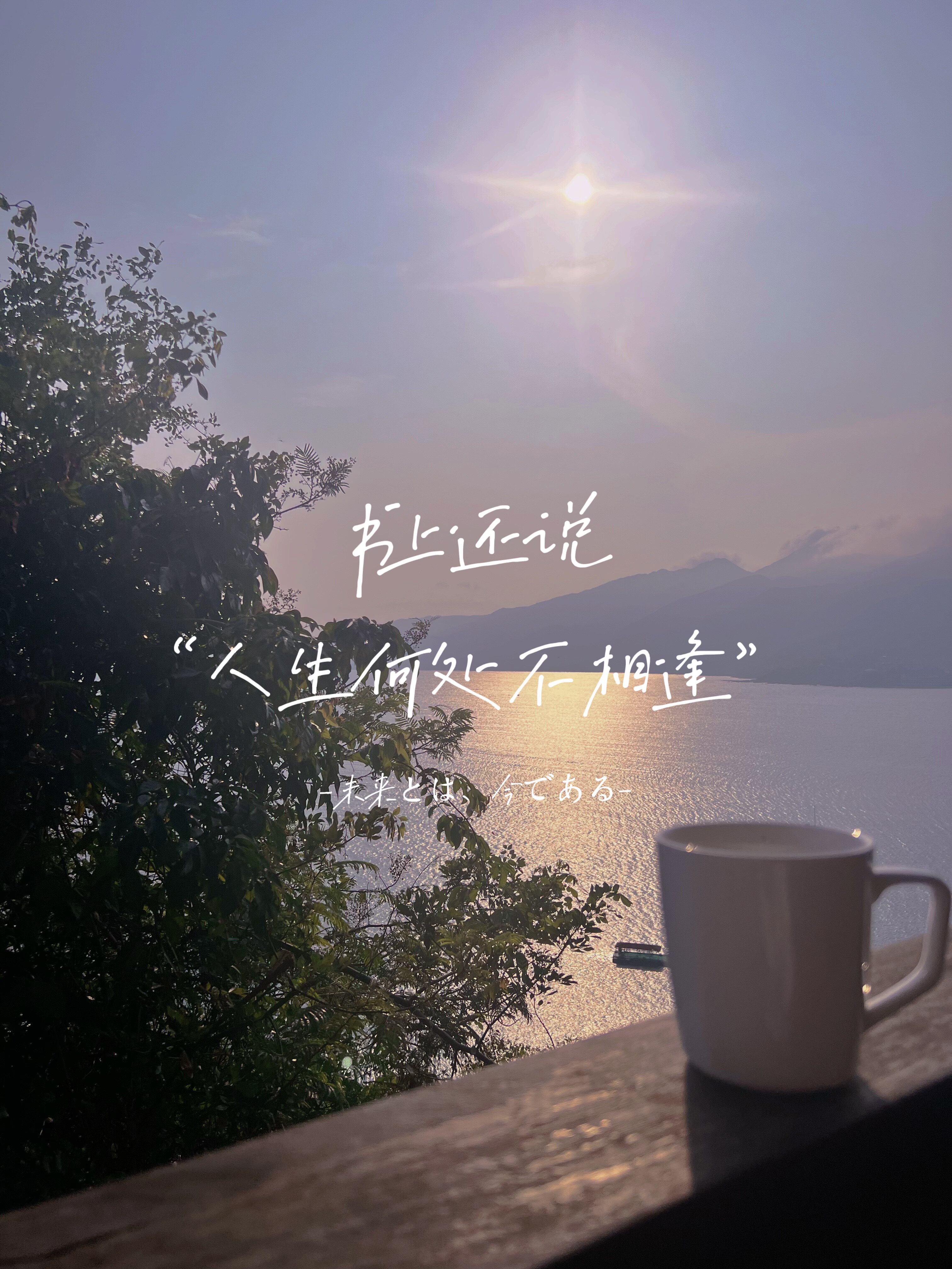 MOONLIGHT SEA 店铺LOGO