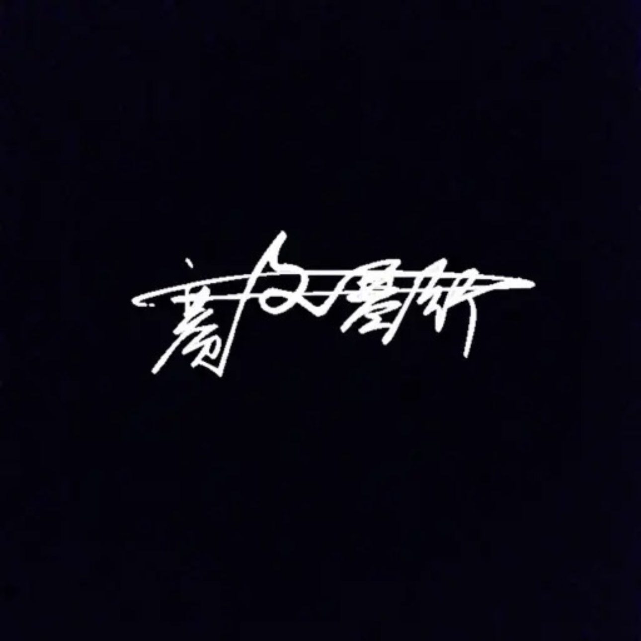 赛文琴行