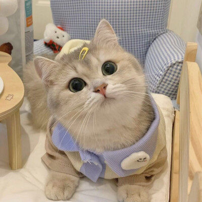 韵禾品牌折扣店
