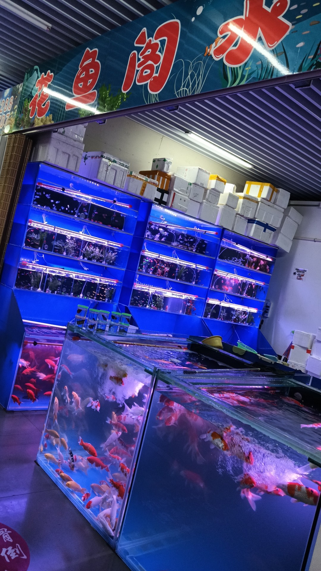 (鱼乐坊水族)北京店铺