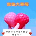 创新玩具店