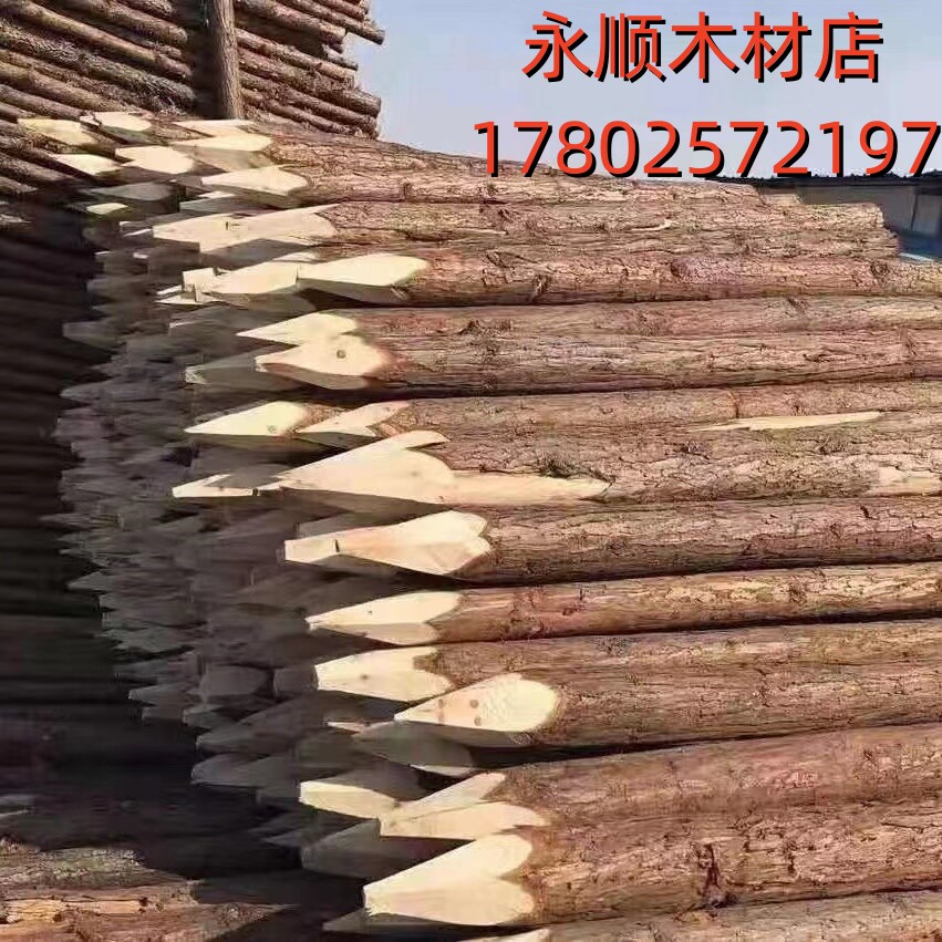 金盛木场