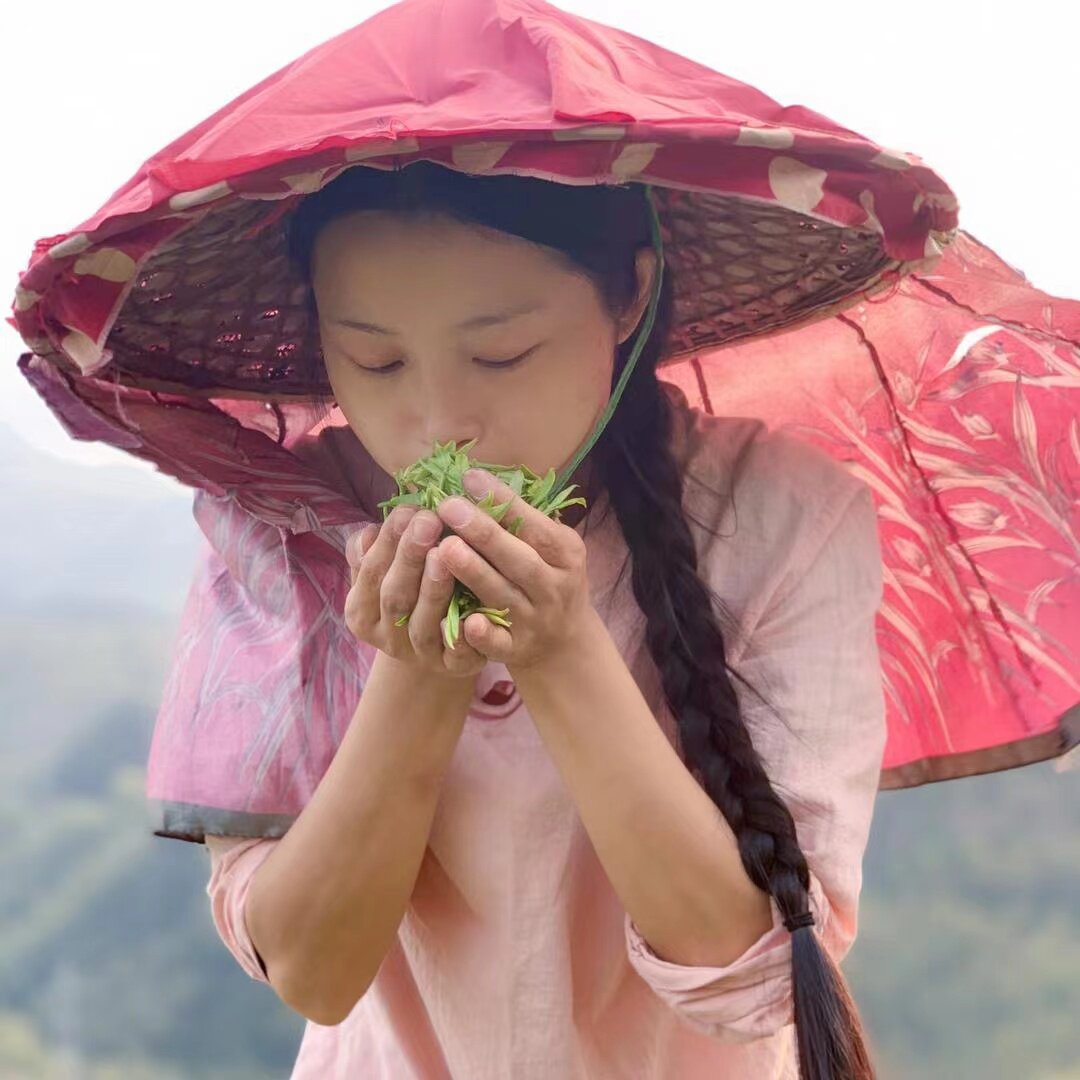 竹夏生态馆