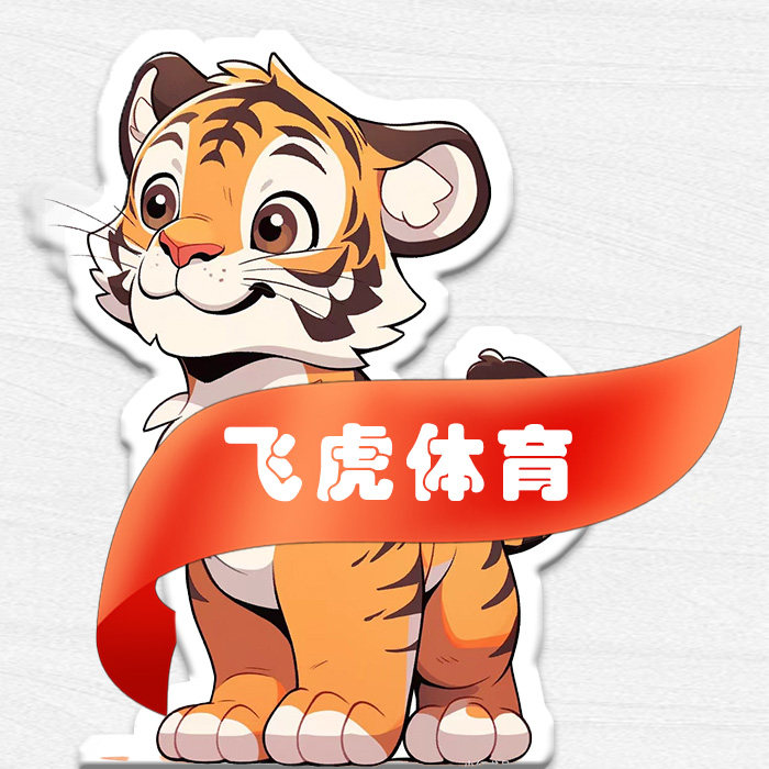 飞虎体育 正品SPORTS