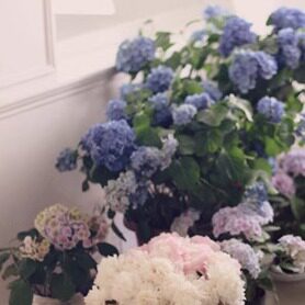 一生守候花店 仿真手捧花束胸花手腕花