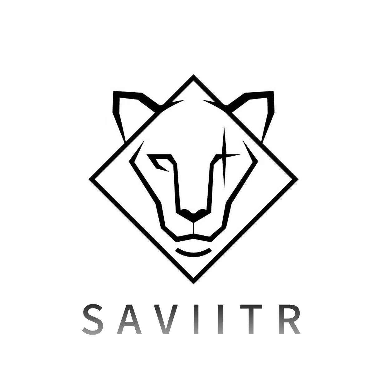 SAVI碳纤维数码 店铺LOGO