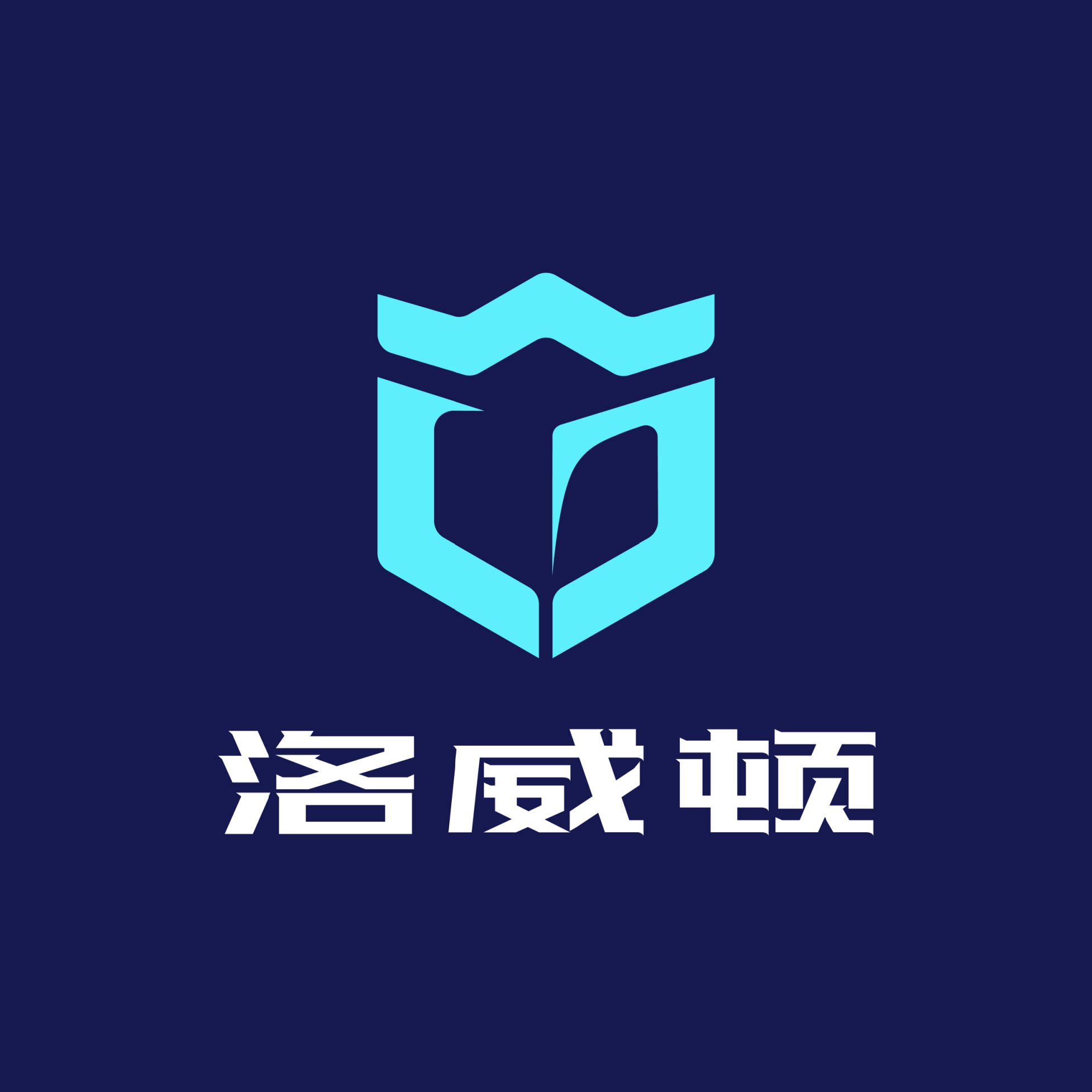 洛威顿企业店