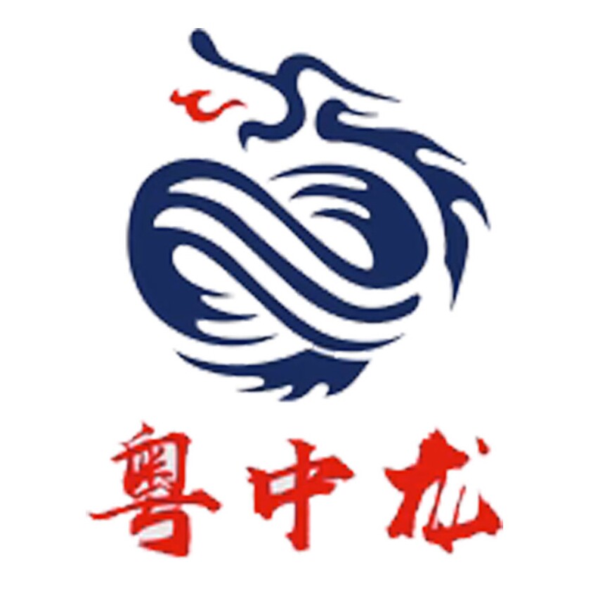 深圳市粤中龙电子有限公司