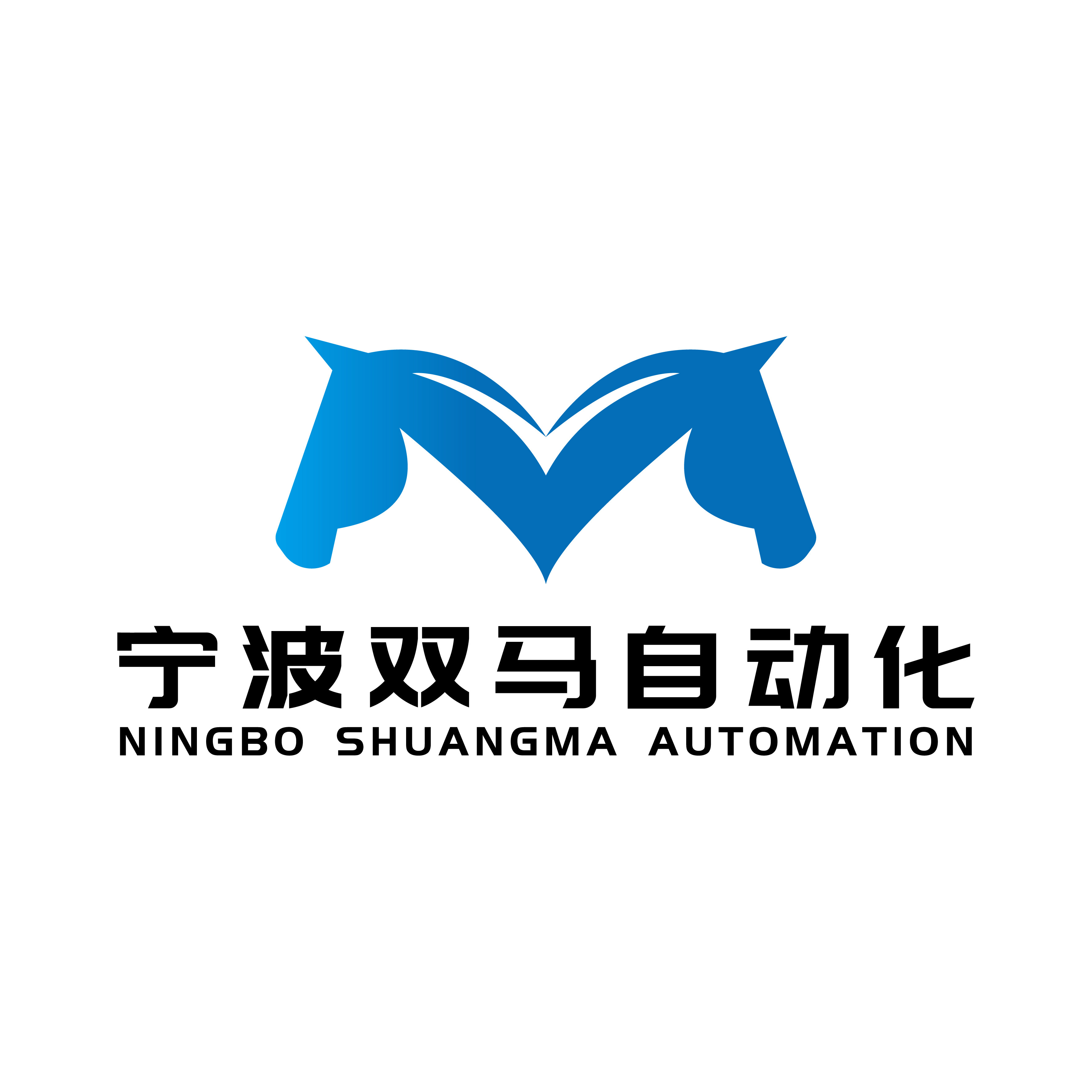 宁波双马流水线