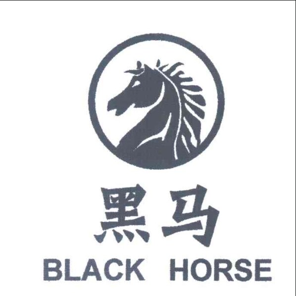 黑马日用百货批发特卖店铺