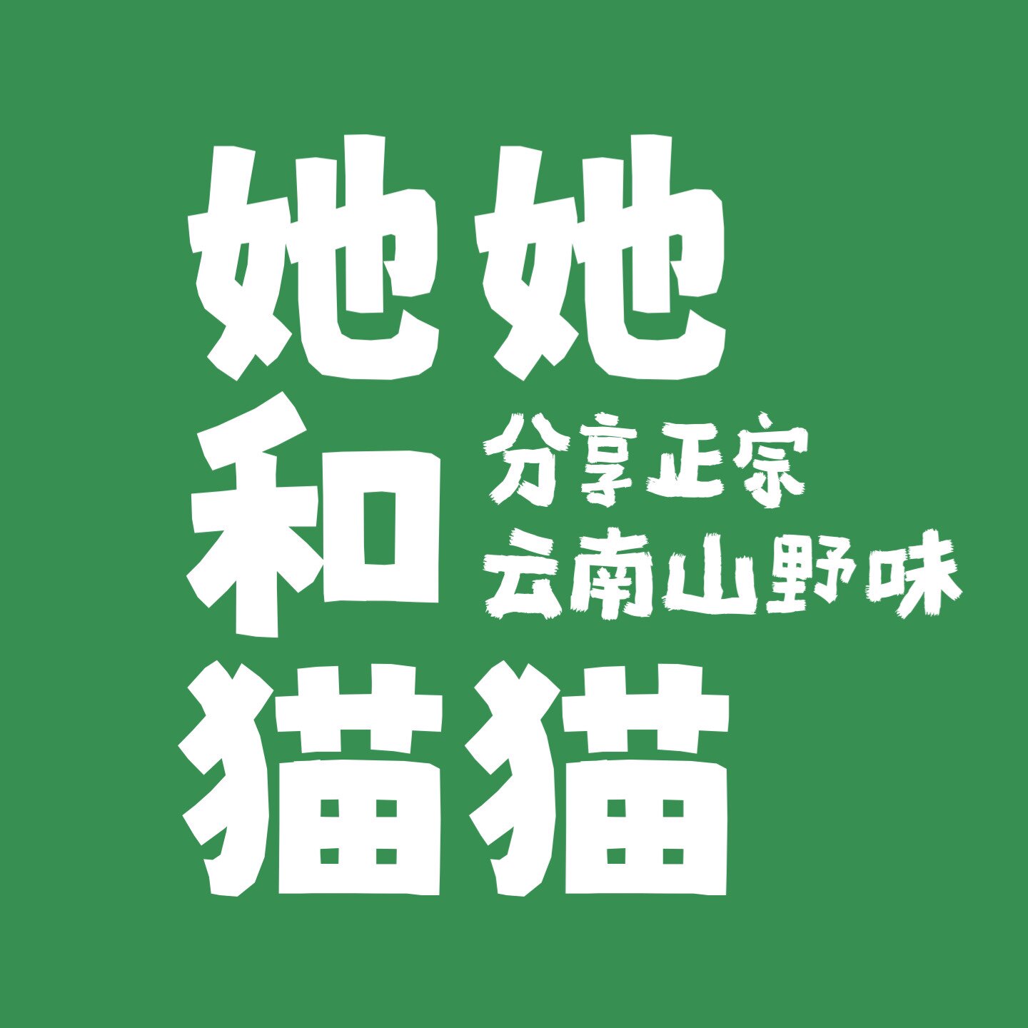 她她和猫猫