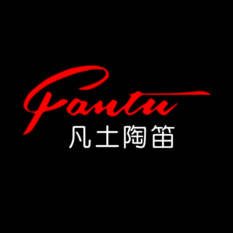 凡土乐器专营店