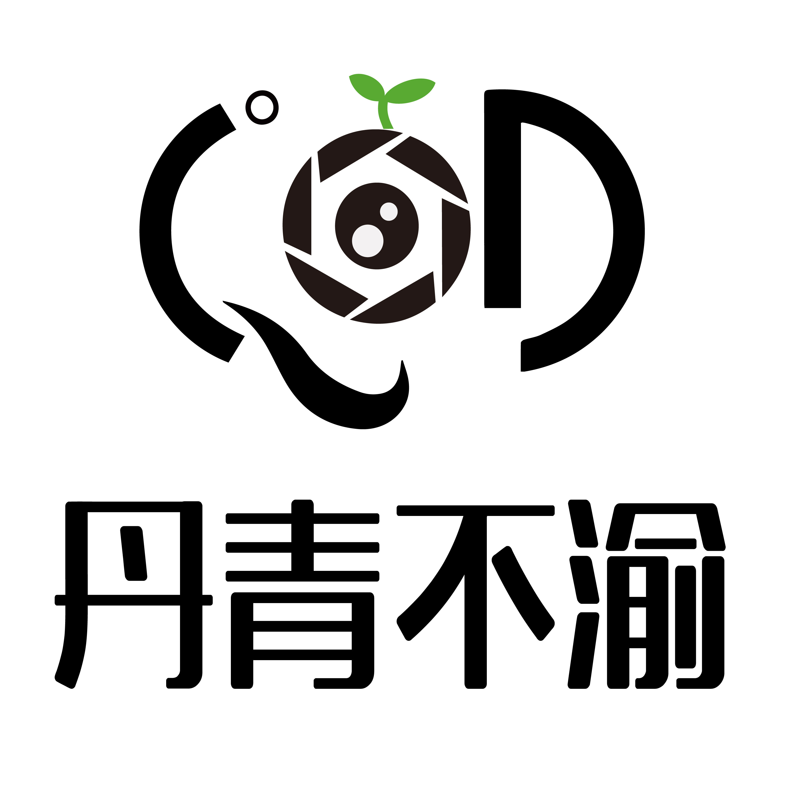 丹青不渝传媒企业店